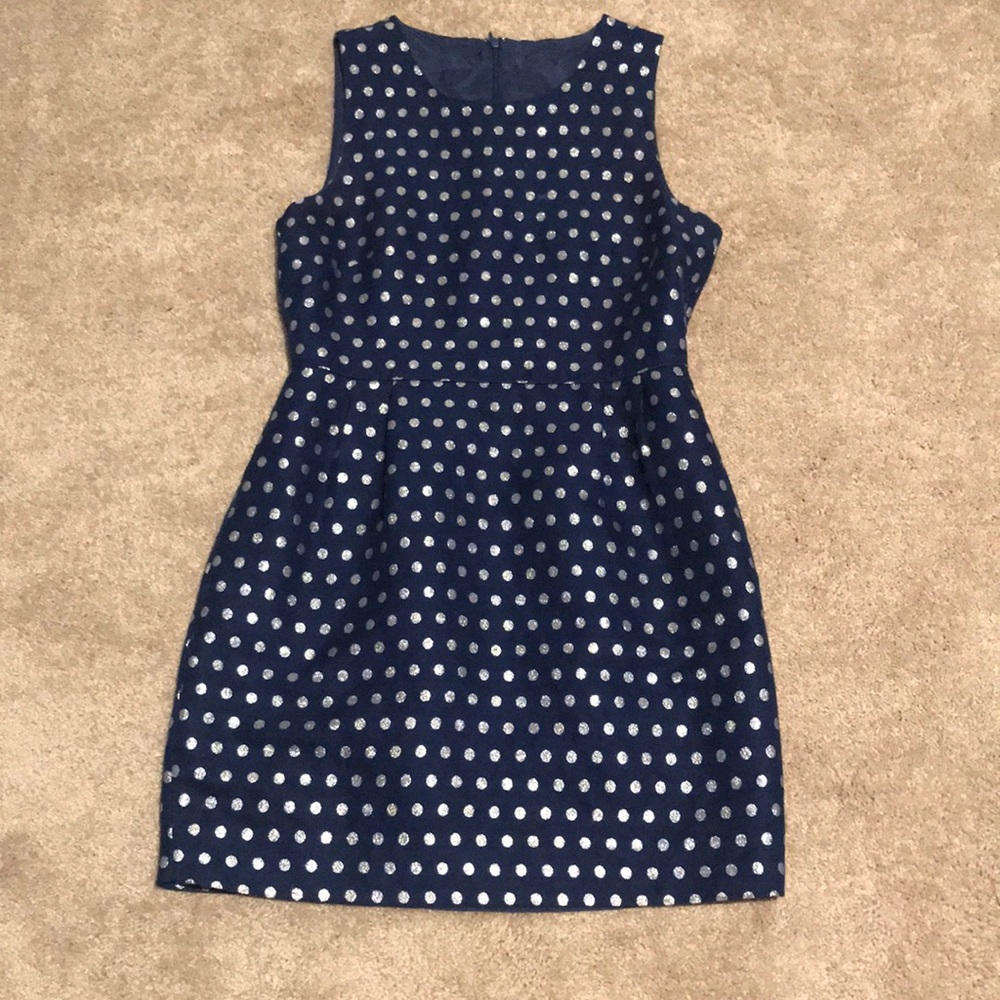Blue J. Crew Polka Dot Dress
